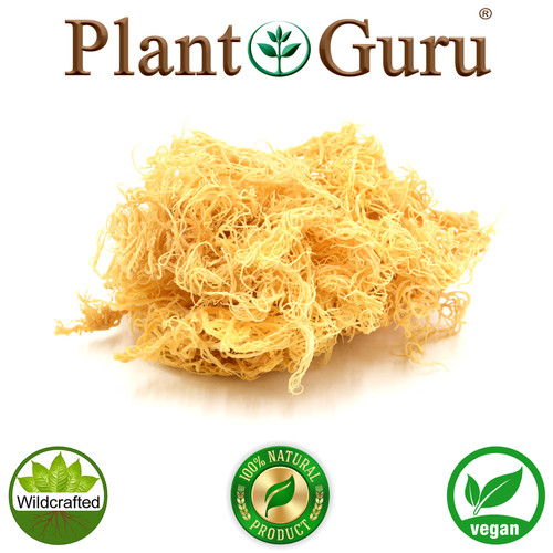 Gold sea moss lucia - st,